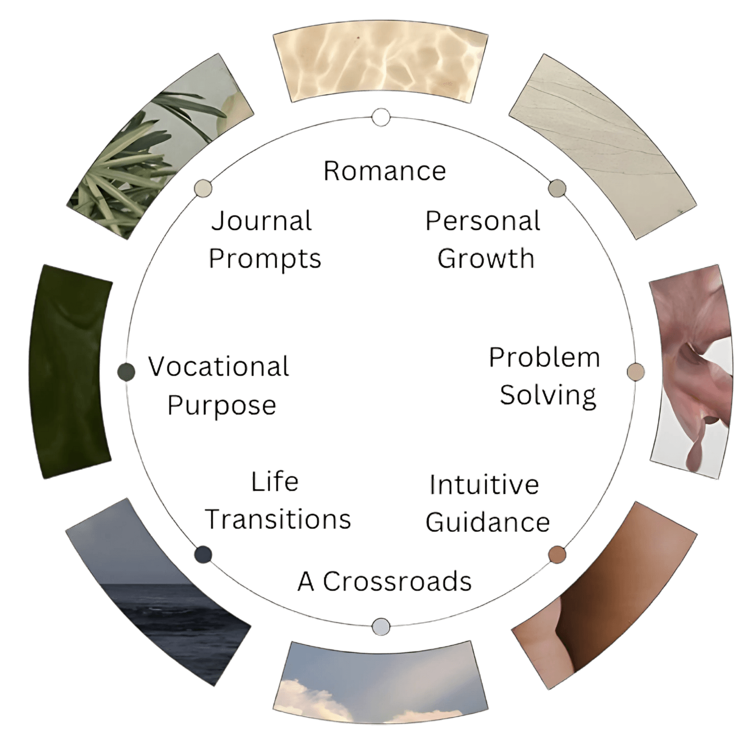 Circle of Life with dimensions