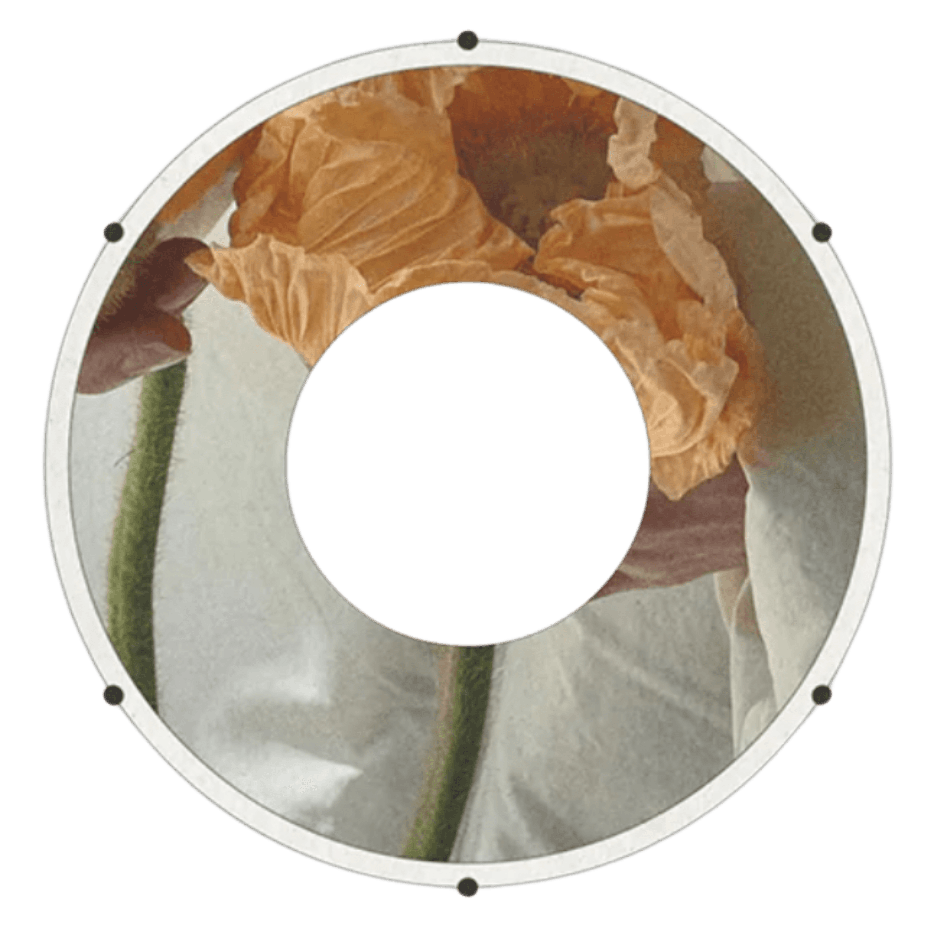 Circular Diagram