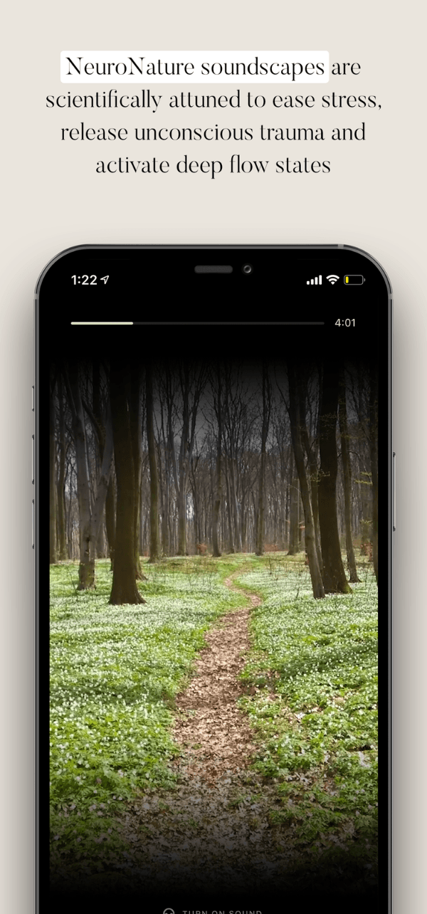 NeuroNature Screenshot